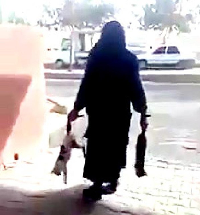 Şanlıurfa'da zehirlenen kedileri çöpe atan kadına tepki