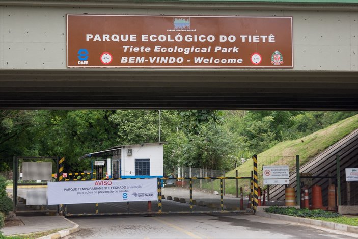 Brezilya'da sarı humma paniği 16 parkı kapattırdı