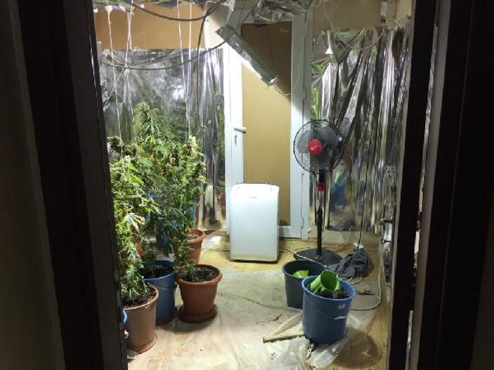 Mersin'de bir eve uyuşturucu baskını