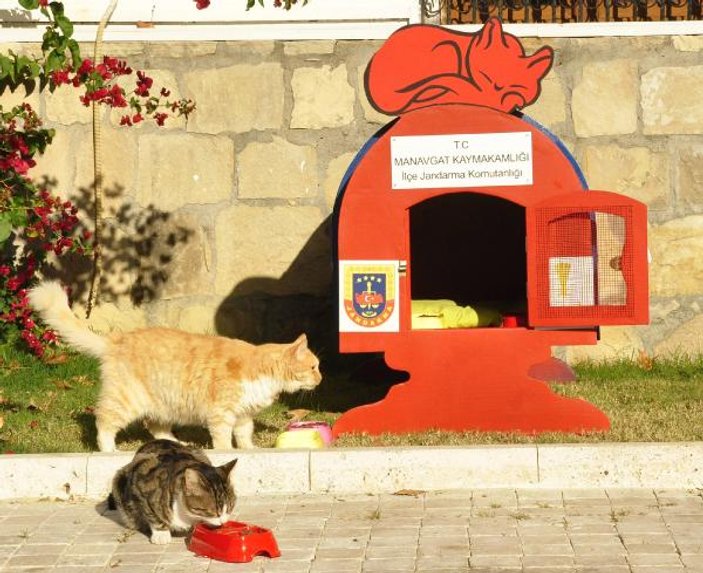 Antalya'da jandarmadan kedilere sıcak yuva