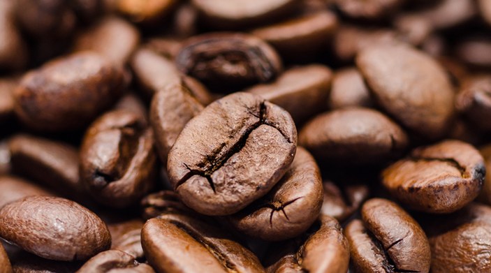 Küresel ısınma kahveyi tehdit ediyor: Tadı bozulacak