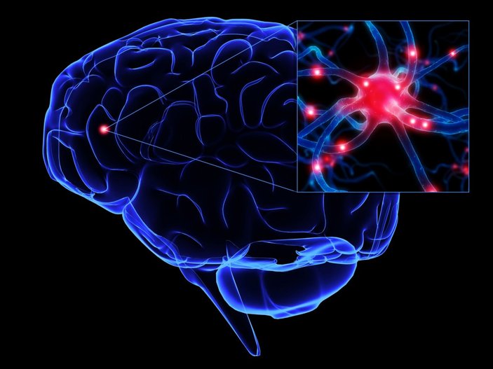 Beyindeki elektrik bağlantılarının haritası çıkarıldı