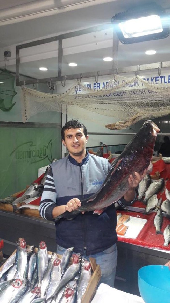 Karadeniz'den 10 kiloluk levrek çıktı