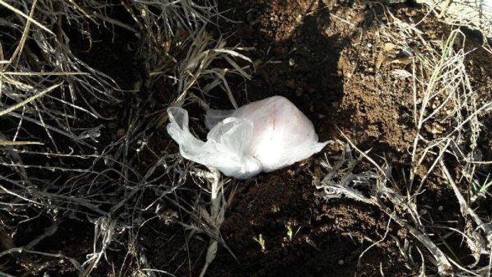 Aksaray'da toprağa gömülü uyuşturucu bulundu