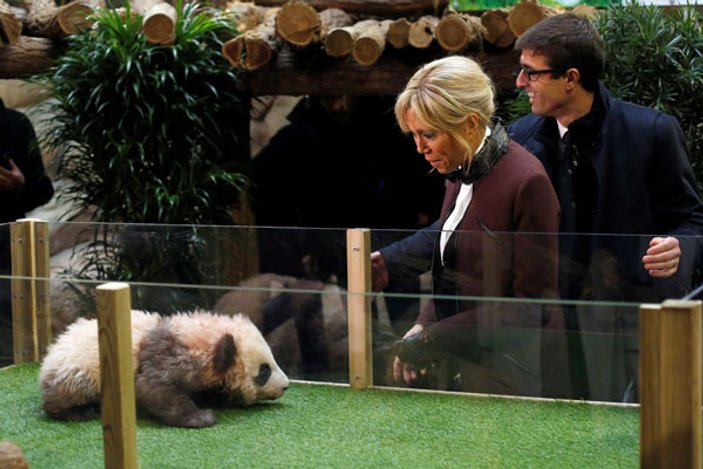 First Lady'nin eline yavru panda saldırdı