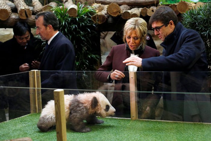 First Lady'nin eline yavru panda saldırdı