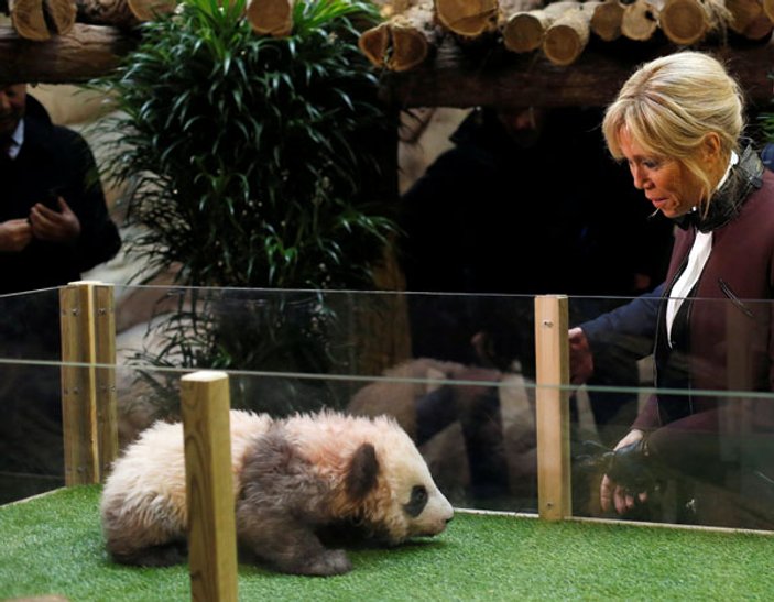 First Lady'nin eline yavru panda saldırdı