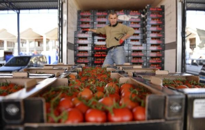 Rusya'ya 1 yıl 11 ay sonra ilk domates ihracı