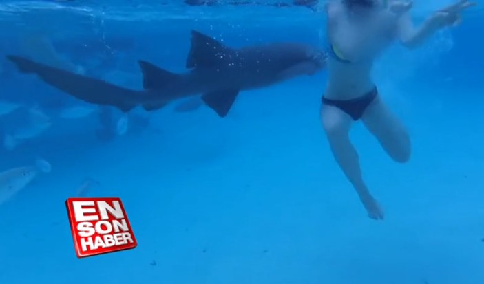 Eşine saldıran köpek balığını kameraya kaydetti