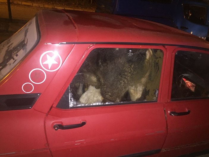 Ankara'da hayvan hırsızları yakalandı