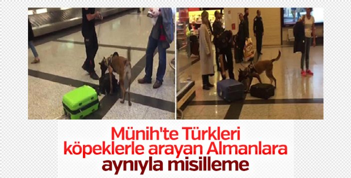 Almanya'da Türk yolcular yine köpekle arandı