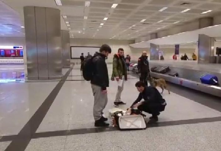 Hollanda'dan gelen yolcular havalimanında köpekle arandı