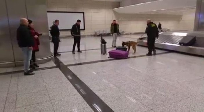 Hollanda'dan gelen yolcular havalimanında köpekle arandı
