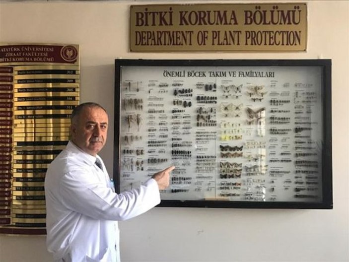 Keşfettiği böceğe babasının adını veren Türk profesör