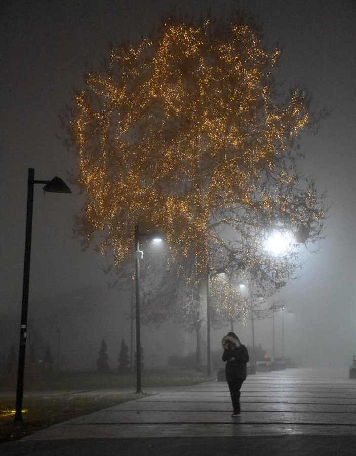 Sivas'ta yoğun sis