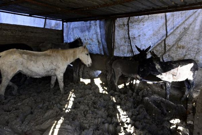 Adana'da yasak et operasyonu