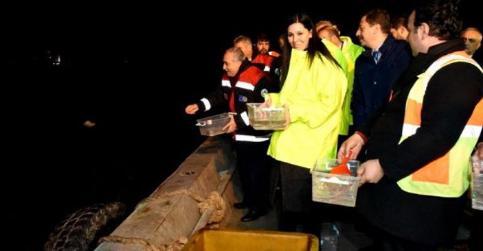 Karadeniz'e 500 yavru kalkan bırakıldı