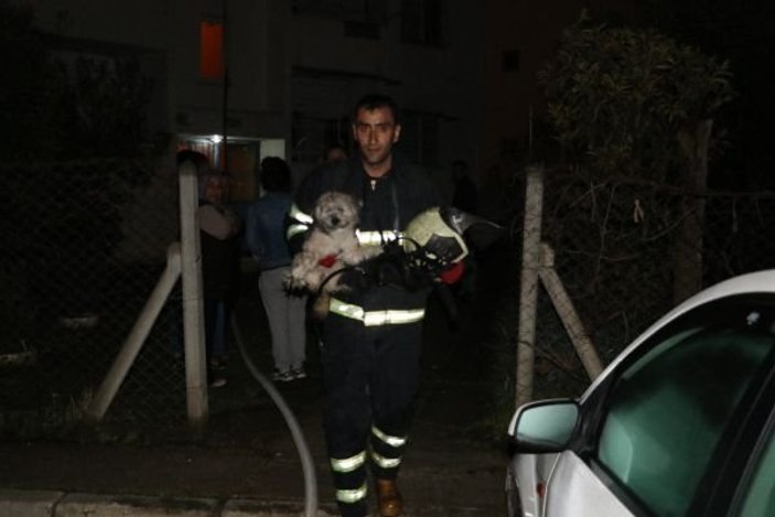 Adana'da kendisini terk eden kız arkadaşını dövüp evini yaktı