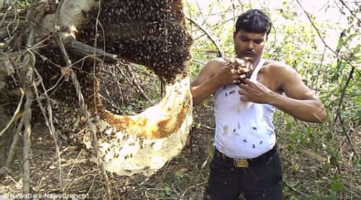 Arıları tişörtünün içine dolduran bal toplayıcısı