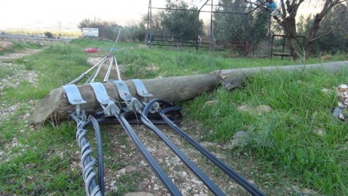 Mersin’de fırtına tırları devirdi ağaçları kökünden söktü