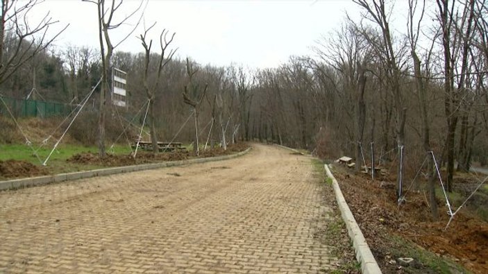 Maçka Parkı'nda ağaç taşıma işlemleri sonlandırıldı