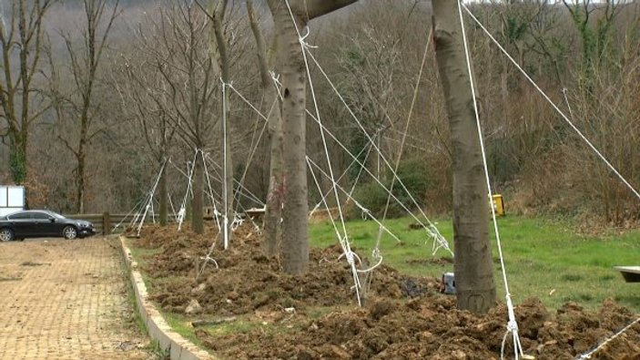 Maçka Parkı'nda ağaç taşıma işlemleri sonlandırıldı