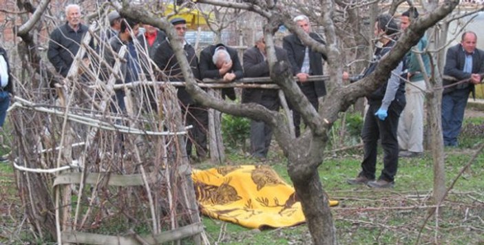 Tokat'ta budamak istediği ağaçtan düşen kişi öldü