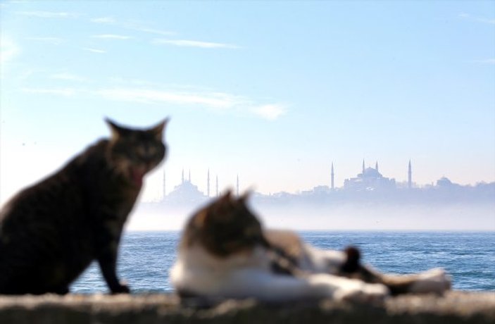 İstanbul'dan sis manzaraları