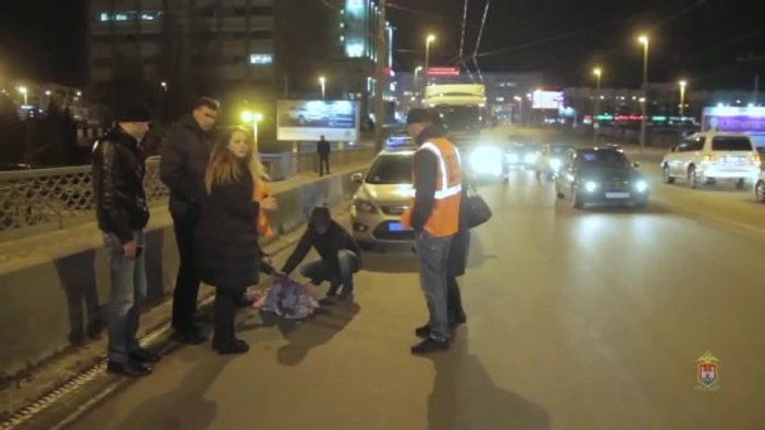 Rusya'da yola düşen kuğu trafiği kitledi