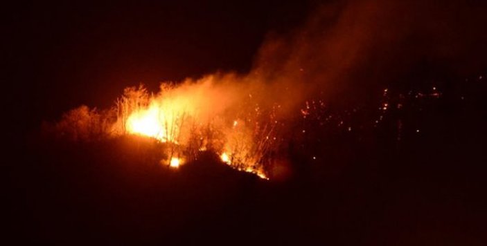 Giresun'da 4 farklı yerde orman yangını çıktı