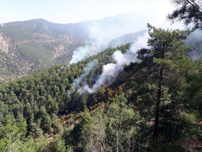 Teröristler Amanos'ta ormanı ateşe verdi