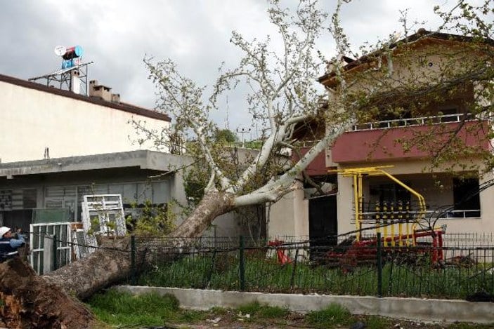 Çanakkale'de fırtına 100 yıllık çınar ağacını devirdi