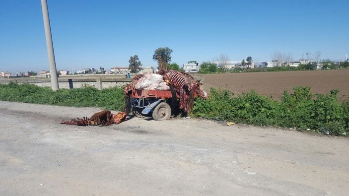 Adana’da kesilmiş at ve eşek eti bulundu