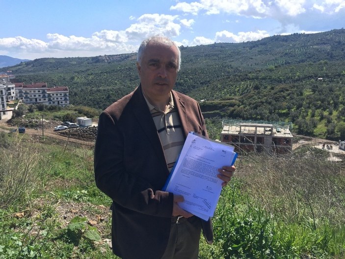 CHP'li Mudanya Belediyesi zeytinlikleri arsaya dönüştürdü