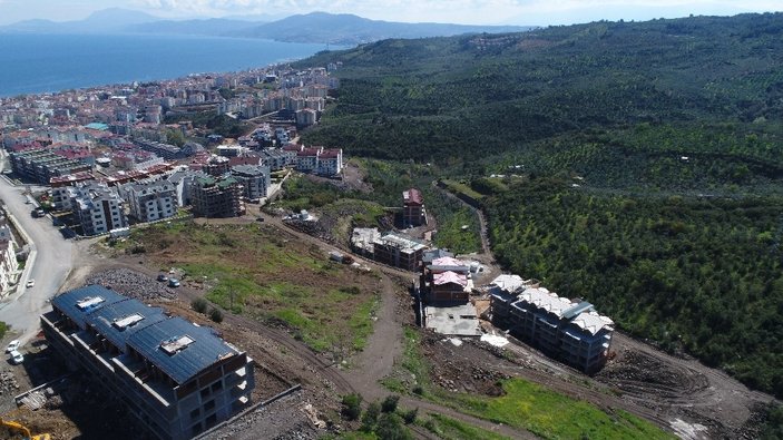 CHP'li Mudanya Belediyesi zeytinlikleri arsaya dönüştürdü
