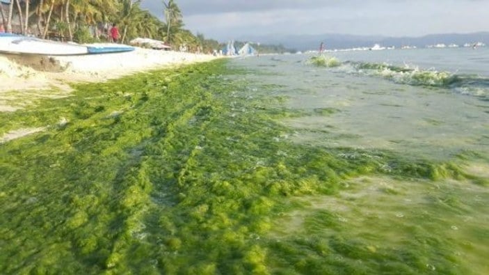 Boracay Adası çevre kirliliği nedeniyle kapatıldı