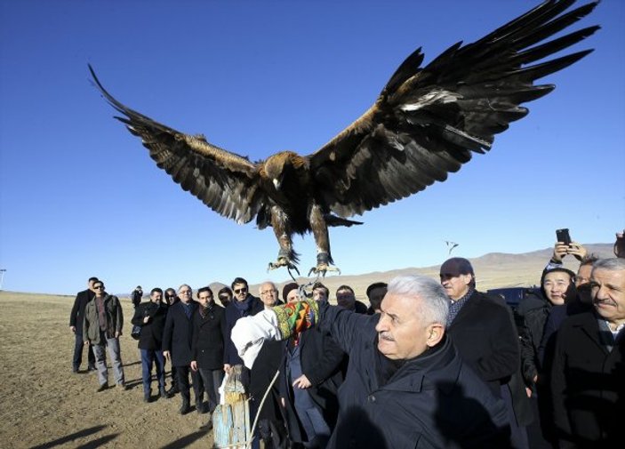 Başbakan Yıldırım Moğolistan'da koluna kartal aldı