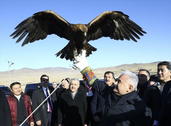 Başbakan Yıldırım Moğolistan'da koluna kartal aldı