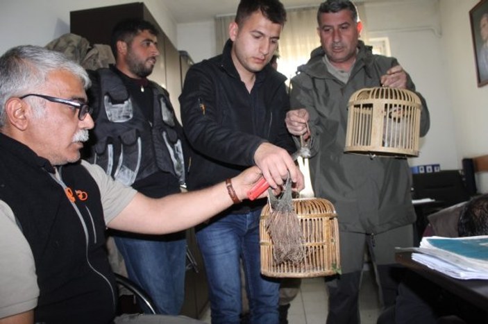 Iğdır'da kaçak keklik avcılarına para cezası