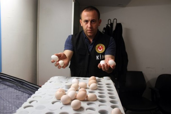 802 adet ejderha tavuğu yumurtası ele geçirildi