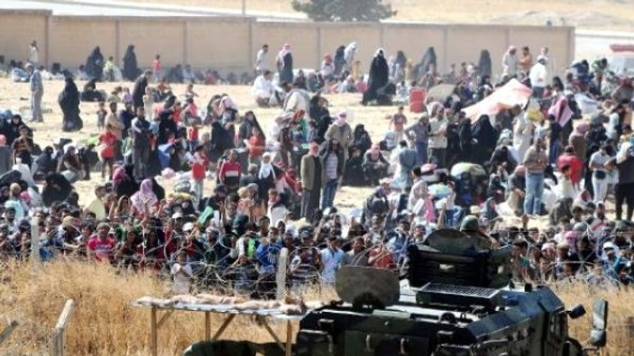 Suriye sınırında 1074 kaçak göçmen yakalandı