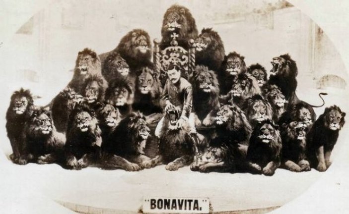Aslanlar kralı: Jack Bonavita