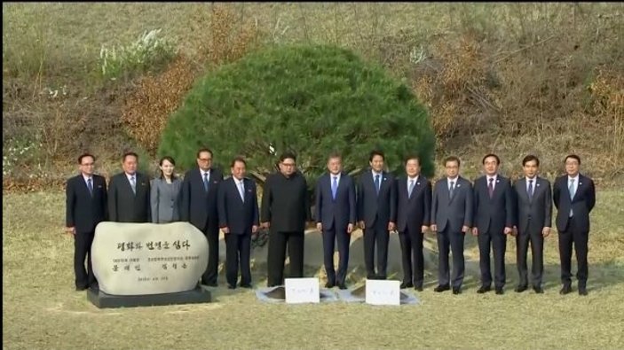 Kuzey ile Güney Kore liderleri barış ağacı dikti