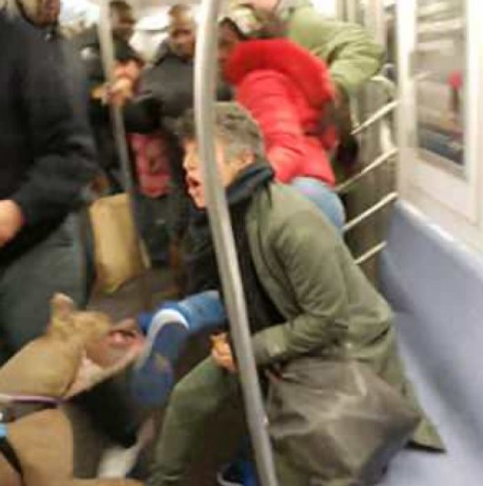 New York metrosunda pitbull saldırısı