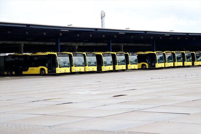 Hollanda'da otobüs şoförleri grevde