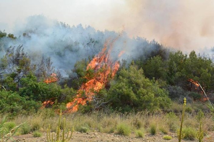 Amanos Dağları'nda çıkan yangın 3 gündür söndürülemiyor