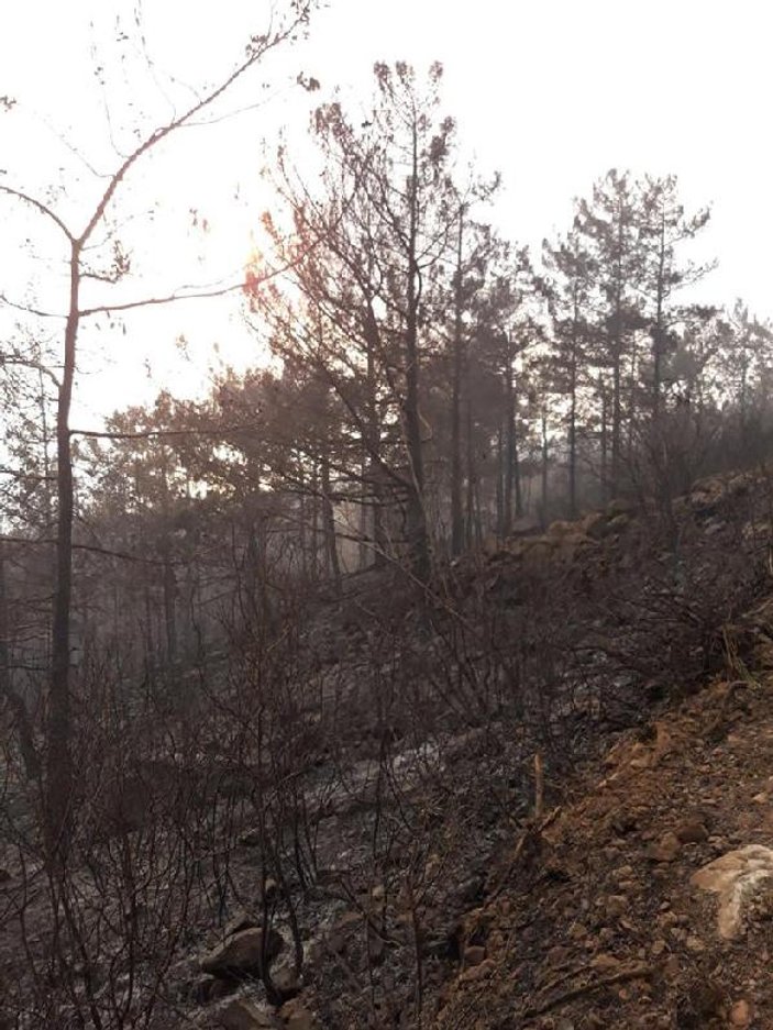 Amanos Dağları'nda 4 gündür süren yangın kontrol altına alındı