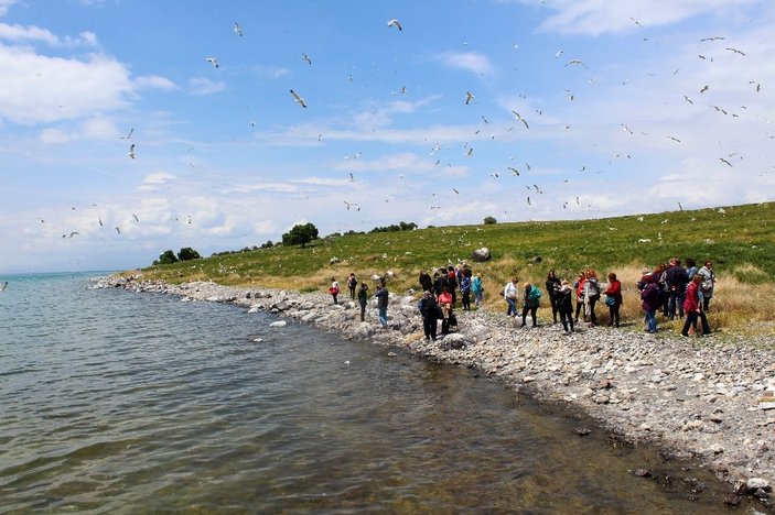 Doğa tutkunları Van'da