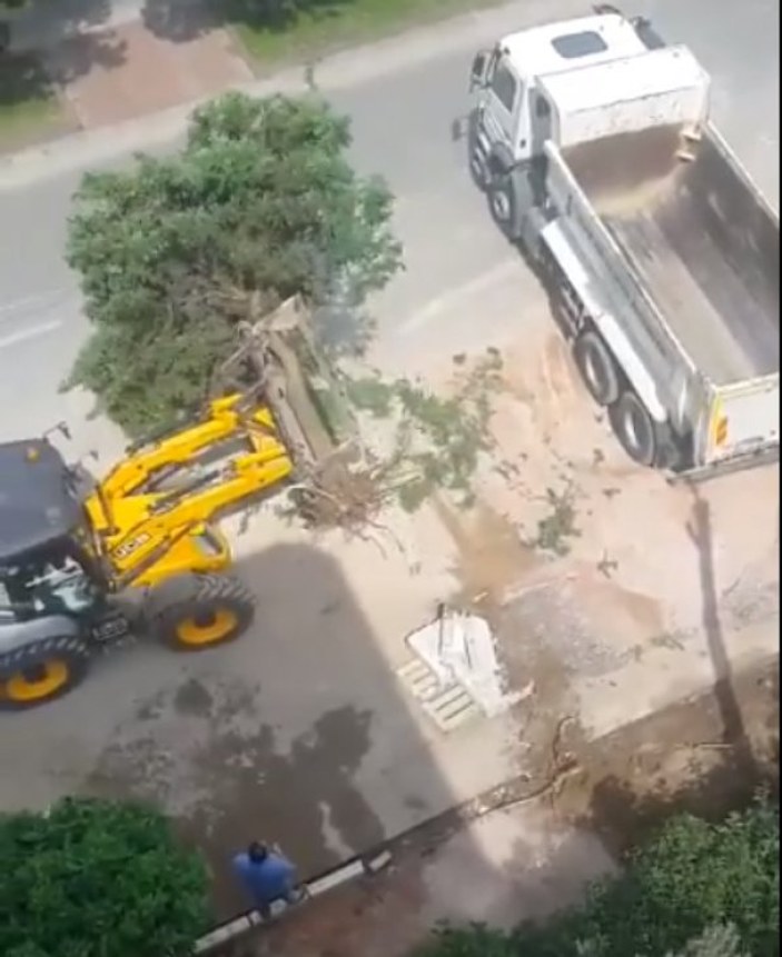 İzmir'de yol yapım çalışmaları için ağaçlar söküldü