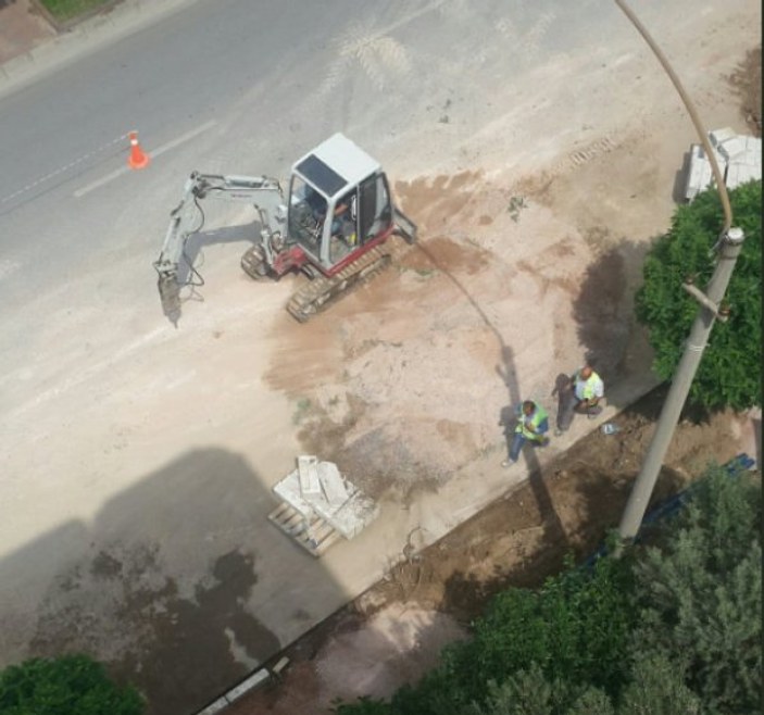 İzmir'de yol yapım çalışmaları için ağaçlar söküldü
